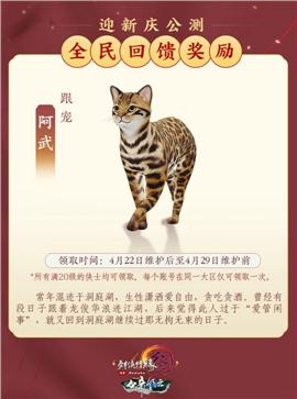 天龙八部私服 热血雷霆